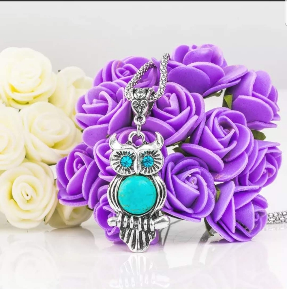 Silver Owl Pendant Necklace with Turquoise Accent - Picture 7 of 7